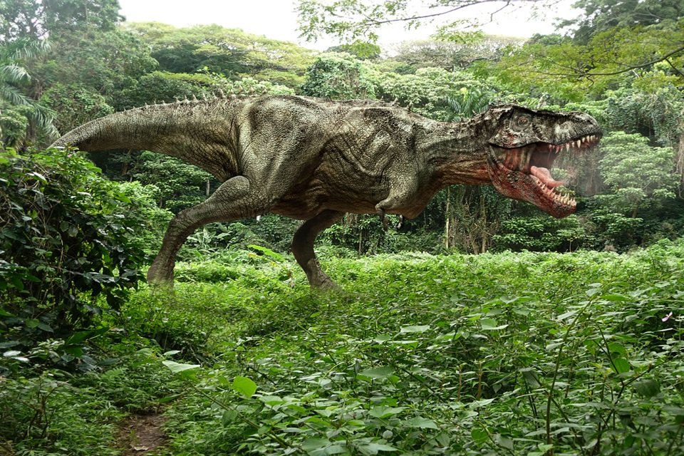 Actualizar Imagem Imagens De Dinossauros De Verdade Br