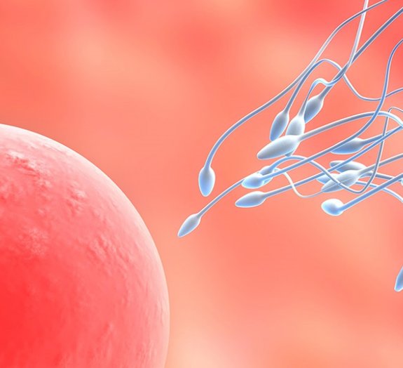 7 fatos que você ainda não sabia sobre esperma