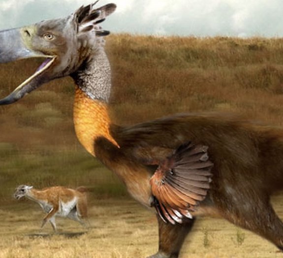 9 pássaros enormes que foram extintos
