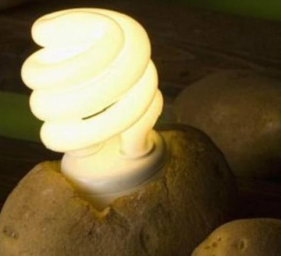 Você sabia que é possível usar batatas para iluminar ambientes?