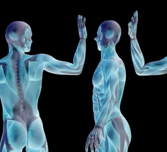 Aula de anatomia: aprenda 15 fatos impressionantes sobre o corpo humano