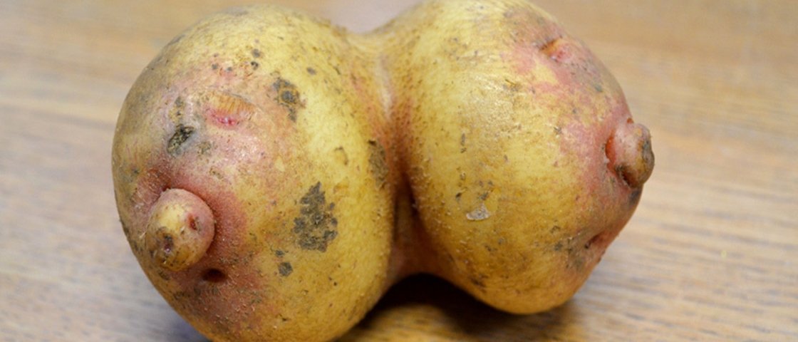 11 vegetais que se parecem com coisas aleatórias
