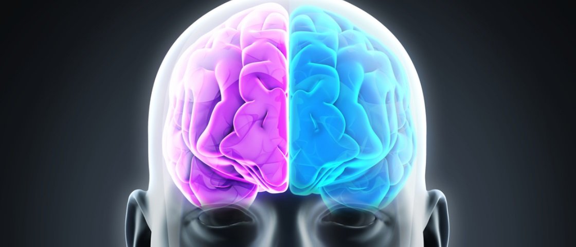 Resultado de imagem para hemisfério cerebral gifs