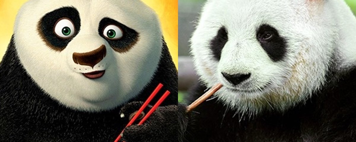 13 animais que se parecem muito com personagens de desenhos