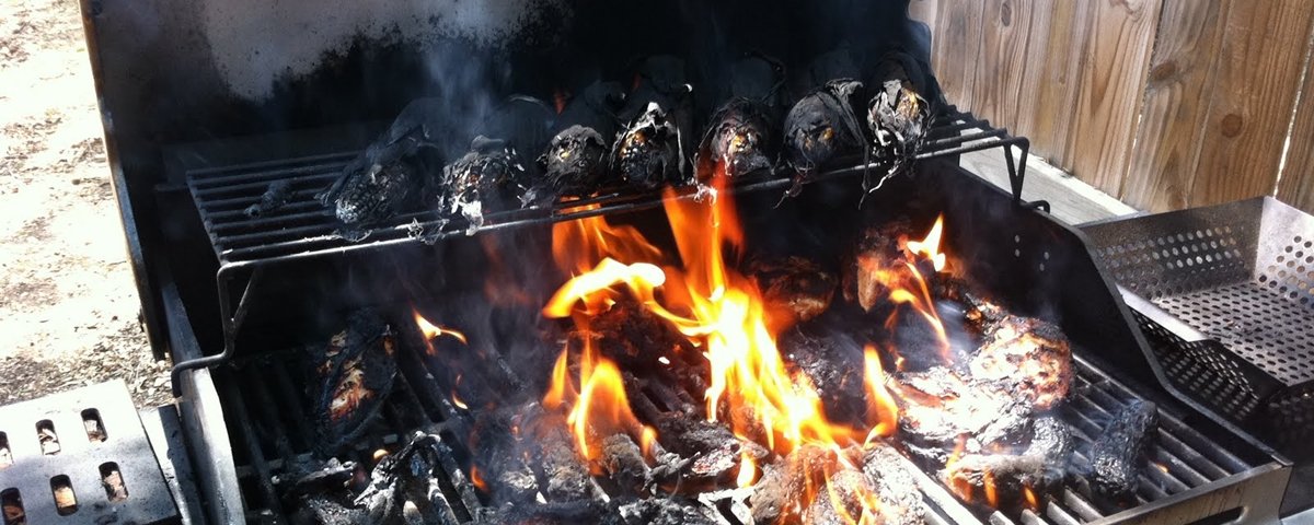 13 imagens que acabam de atualizar as definições de inferno astral