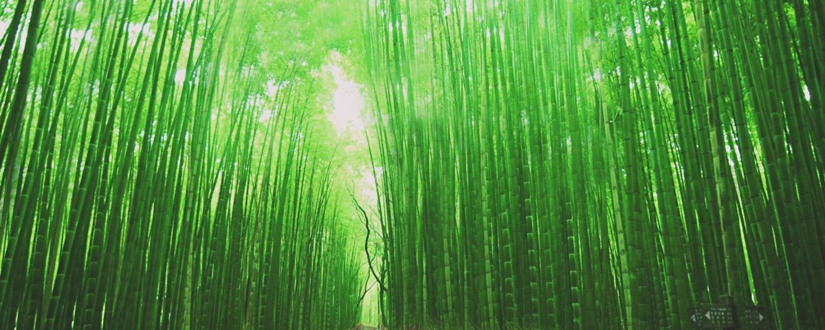 15 vezes em que a natureza pareceu manipulada digitalmente