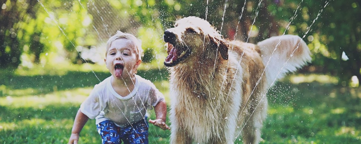13 imagens de crianças e animais que vão te fazer sorrir instantaneamente