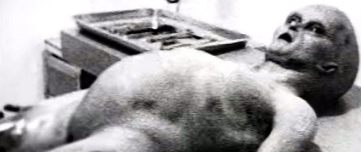 Produtor do vídeo da autopsia do alien de Roswell admite que foi ...