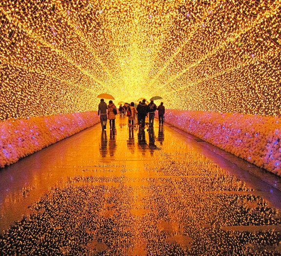 Parque japonês é transformado em estonteante espetáculo de luz