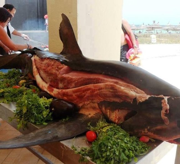 Imagem de tubarão servido inteiro em resort gera polêmica