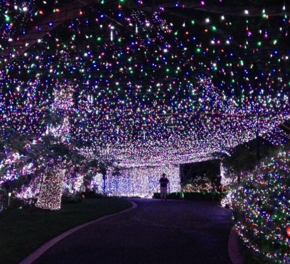 Recorde de Natal: australianos enfeitam casa com mais de 500 mil luzes
