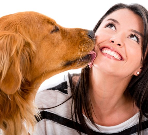 Amor animal: mulheres podem amar mais seus bichos do que seus maridos
