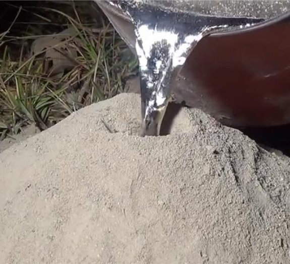 O que acontece se despejarmos alumínio líquido em um formigueiro? [vídeo]
