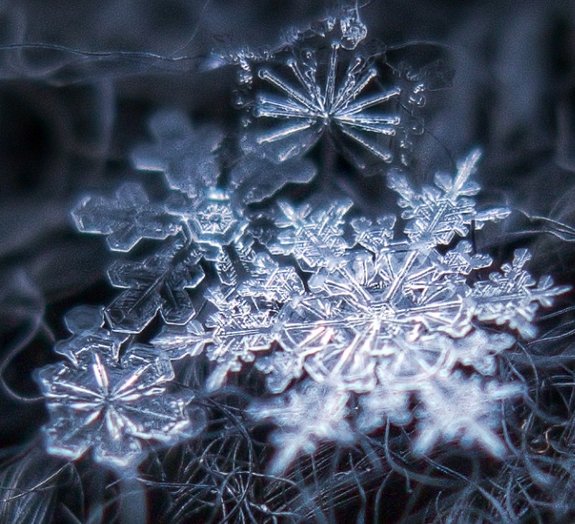 Macrofotografia: floquinhos de neve como você jamais viu