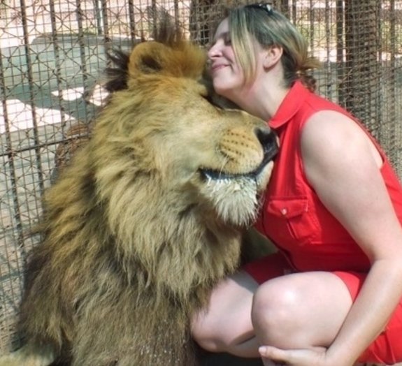 Zoológico na Argentina permite que visitantes entrem em contato com animais