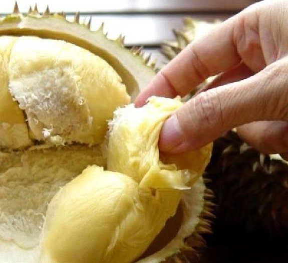 Durian: a fruta com os sabores e odores mais sinistros do planeta