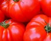thumb-image-2024-02-29T13:57:26.940Z