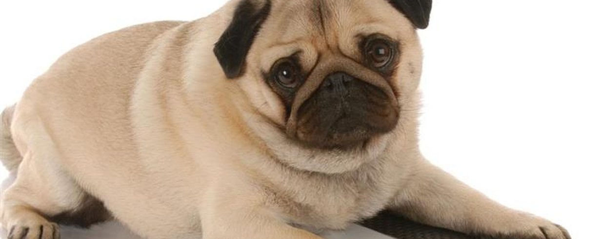 thumb-image-2024-02-29T13:57:49.723Z