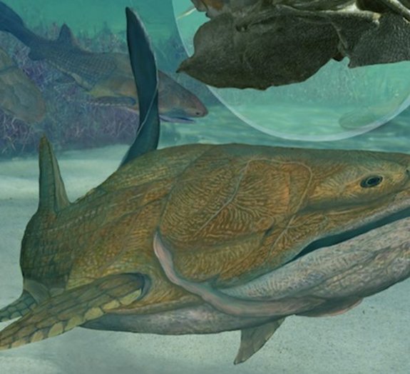 Fóssil de peixe é a mais antiga criatura com rosto já descoberta
