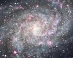 thumb-image-2024-02-29T13:57:49.777Z