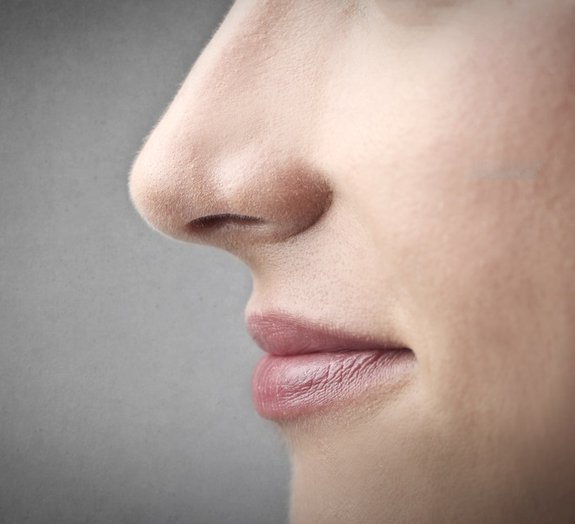 Médico do século 19 achava que o nariz tinha conexão com distúrbios sexuais