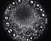 thumb-image-2024-02-29T13:58:05.582Z