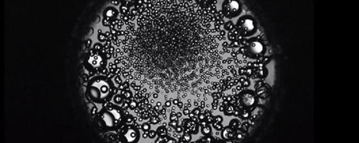 thumb-image-2024-02-29T13:58:05.582Z