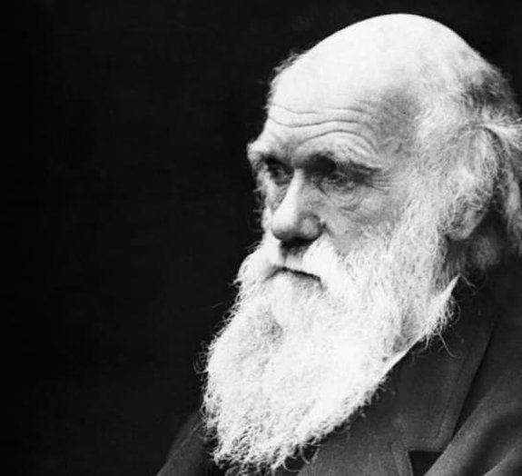 Você sabia que Charles Darwin usou os amigos como ratinhos de laboratório?