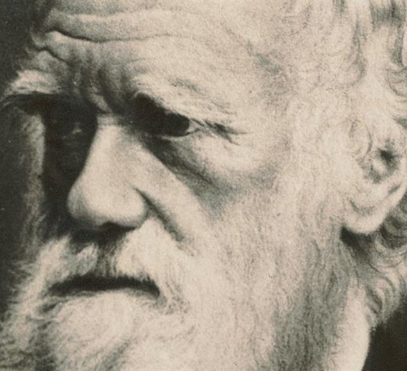 6 coisas que talvez você não saiba sobre Charles Darwin