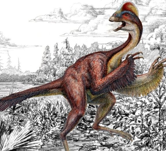 'Galinha do Inferno': paleontólogos descobrem novo dinossauro bizarro