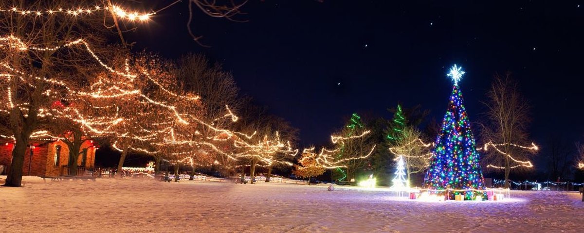 O dia certo para montar a árvore e a decoração de Natal