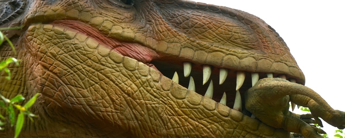 Pesquisa revela que dinossauro T-rex andava, não corria