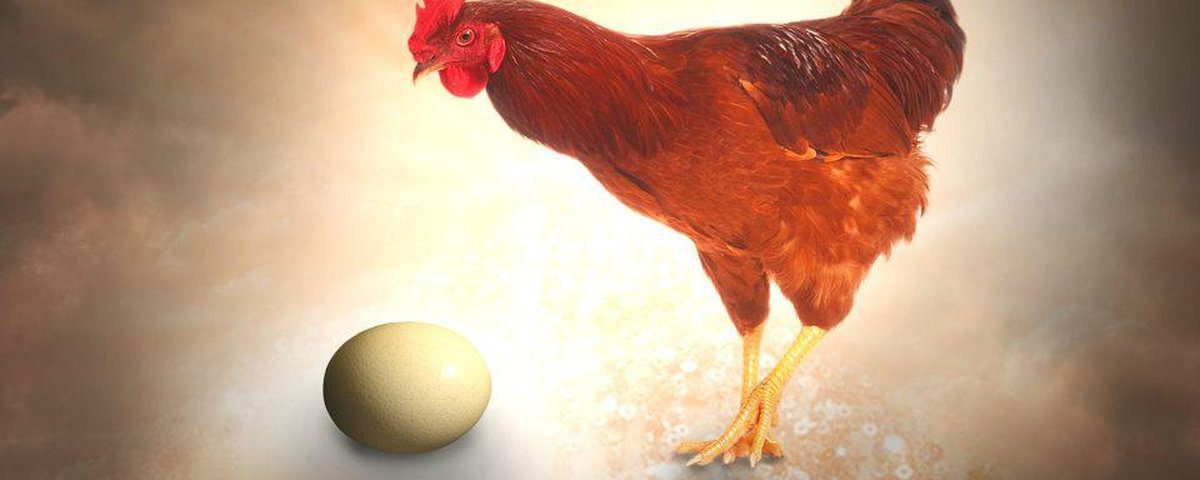 Quem veio primeiro: o ovo ou a galinha? Ciência tem nova explicação