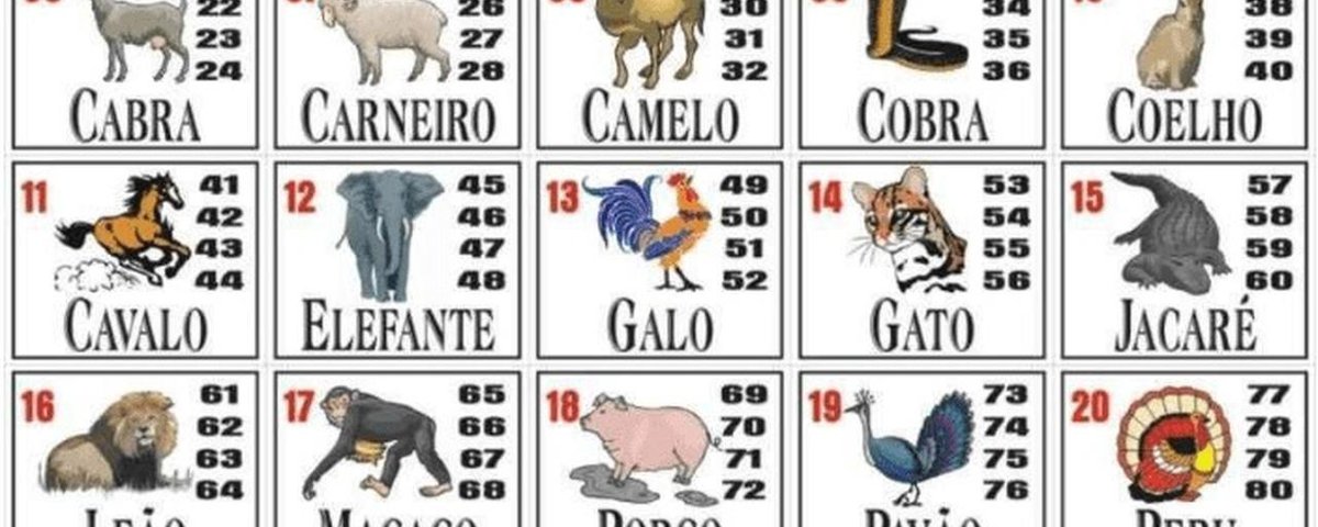 Loteria Nacional - Bicho Certo