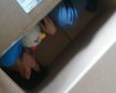 thumb-image-2024-02-29T13:57:06.495Z