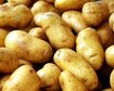 thumb-image-2024-02-29T13:57:06.609Z