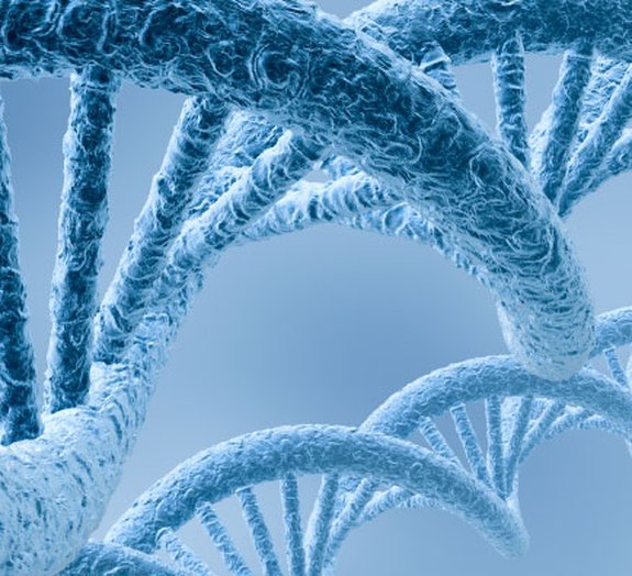 Pesquisadores revelam guia para o genoma humano