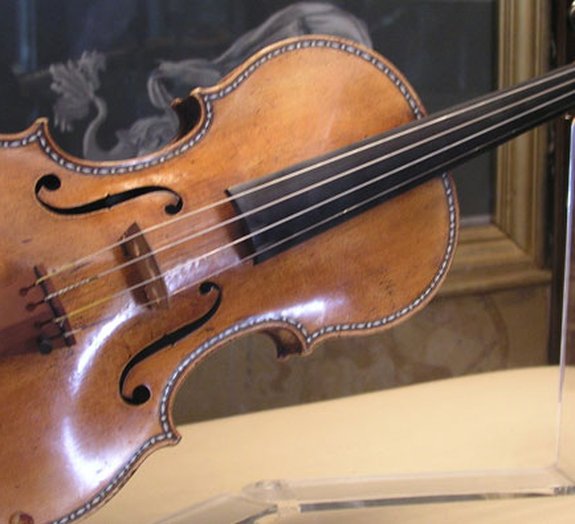 Fungos deixam os sons de violinos comuns iguais aos dos Stradivarius