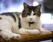 thumb-image-2024-02-29T13:57:08.677Z