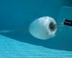 thumb-image-2024-02-29T13:57:09.378Z