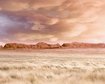 thumb-image-2024-02-29T13:57:10.895Z