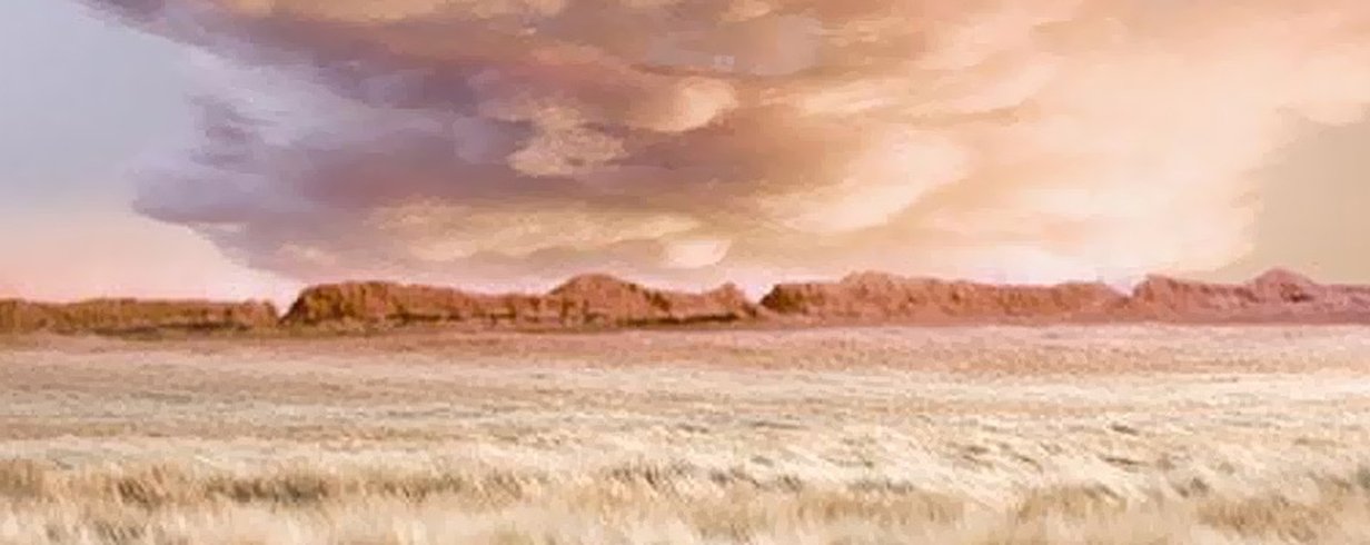 thumb-image-2024-02-29T13:57:10.895Z