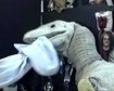 thumb-image-2024-02-29T13:57:11.001Z