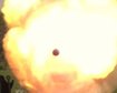 thumb-image-2024-02-29T13:57:11.027Z
