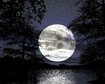 thumb-image-2024-02-29T13:57:11.146Z
