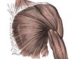 thumb-image-2024-02-29T13:57:11.181Z
