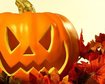 thumb-image-2024-02-29T13:57:11.365Z