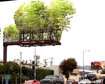 thumb-image-2024-02-29T13:57:11.749Z