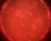 thumb-image-2024-02-29T13:57:11.795Z