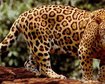 thumb-image-2024-02-29T13:57:12.086Z